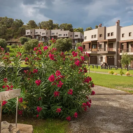 Athos - Luxury Seaside *